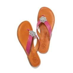 Aster Flower Thongs 25 Aster Flower Thongs -Brighton Shop aster flower thongs orchid 1
