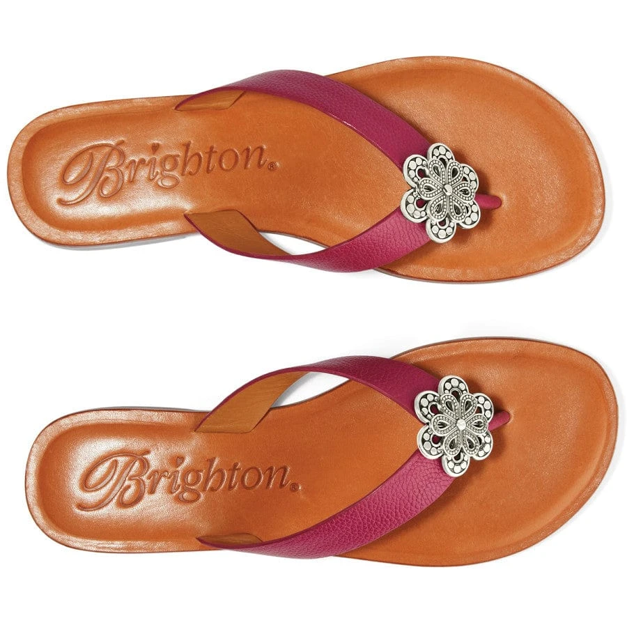 Aster Flower Thongs 11 Aster Flower Thongs - Image 9