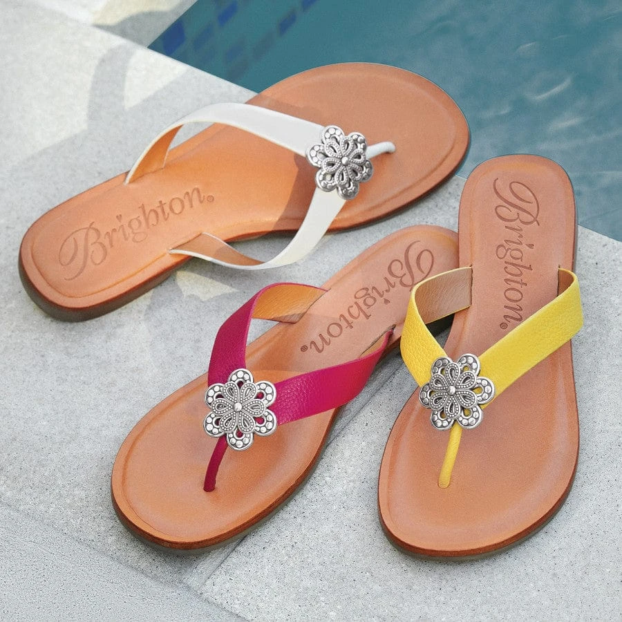 Aster Flower Thongs 12 Aster Flower Thongs - Image 10