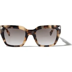Contempo Dot Sunglasses 8 Contempo Dot Sunglasses -Brighton Shop contempo dot sunglasses silver tortoise 2
