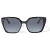 Contempo Linx Sunglasses -Brighton Shop contempo linx sunglasses black silver 1