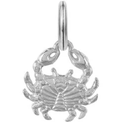 Crabby Charm -Brighton Shop crabby charm silver 1 7643ef29 4b7b 4ec7 8b2d eb49544200b5