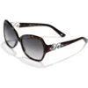Crystal Halo Sunglasses -Brighton Shop crystal halo sunglasses tortoise 0 81d35b46 b92b 4e52 acb6 0280f762927d