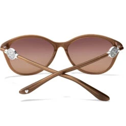 Ferrara Sunglasses -Brighton Shop ferrara sunglasses brown 3