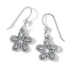 Illumina Daisy Petite French Wire Earrings -Brighton Shop illumina daisy petite french wire earrings silver 0 d7dcb3ee 1416 452d b60d 97f79810431f