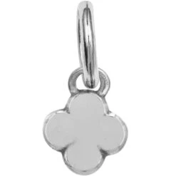 Massandra Highlight Amulet 5 Massandra Highlight Amulet -Brighton Shop massandra highlight amulet silver gold 1 8d5af8f1 1cb3 4e5c 818e e8ed6e3eb33d