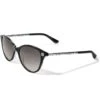 Pebble Mix Sunglasses -Brighton Shop pebble mix sunglasses black 0 aed458c2 a8fd 4a3a 8f8c 8da1bbd6d1d9