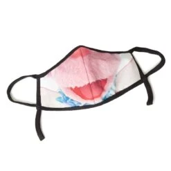 Sesame Street Abby Cadabby Child Face Mask